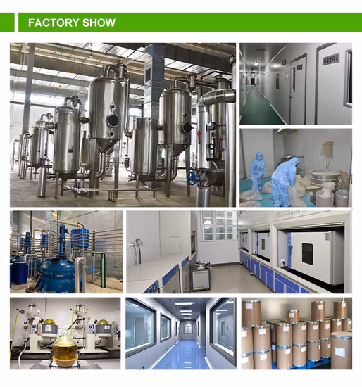 Ceramida cosmética Solúvel em água Extrato de farelo de arroz Ceramida Material em pó Ceramida