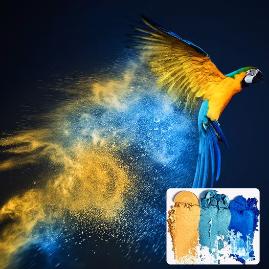 CNMI Mica Powder Natural Powder Pigments Cosmetic Grade Epoxy Resin Pigment Lipgloss Mica Powder for Lip Gloss Bath Bomb Making
